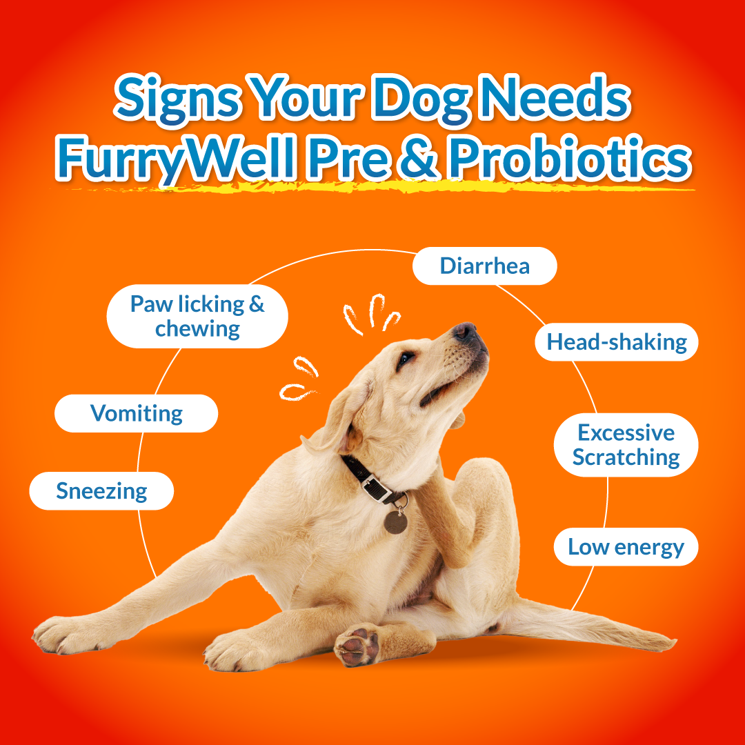 FurryWell Pre & Probiotics 🐶