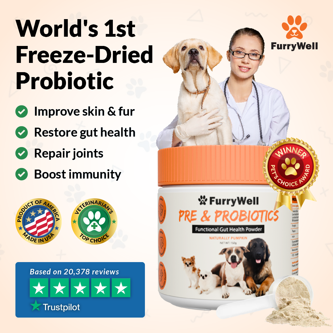 FurryWell | Pre & Probiotics